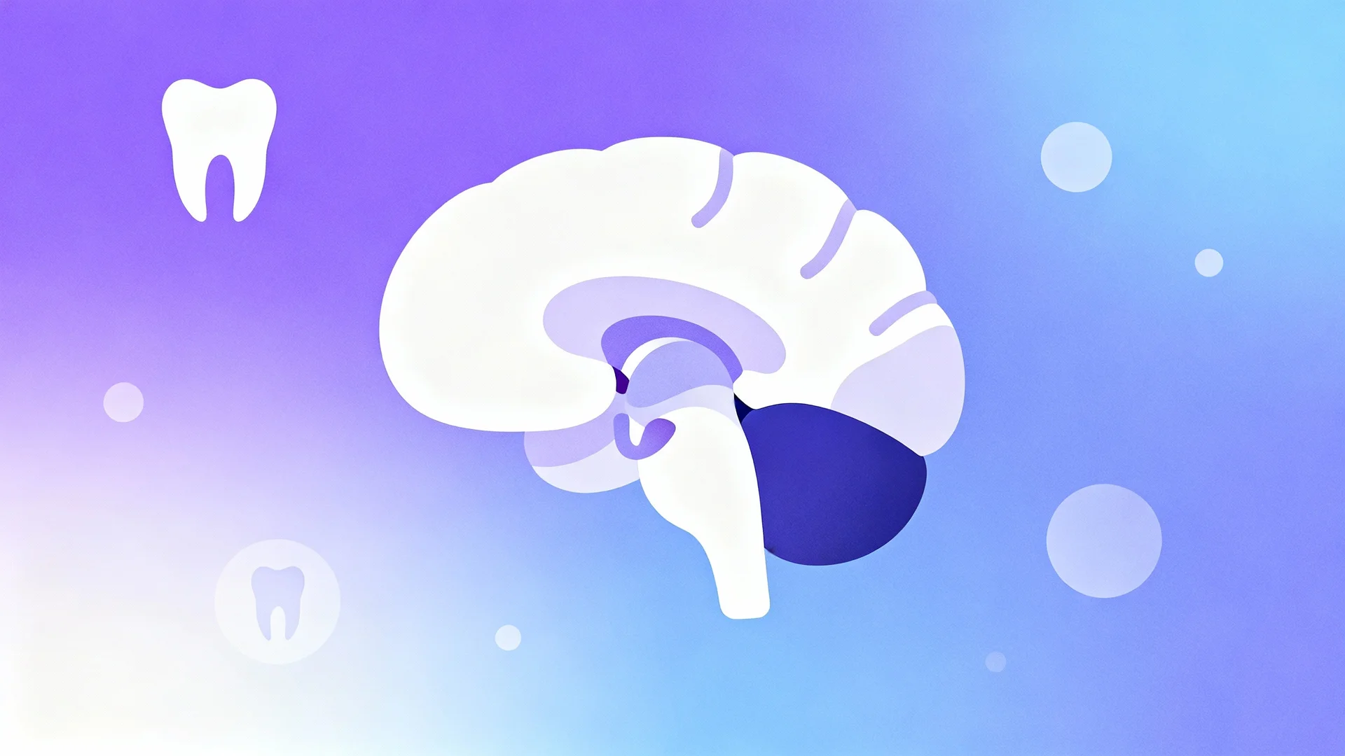 The Putamen Unexpected Truth Shaping Brain Function