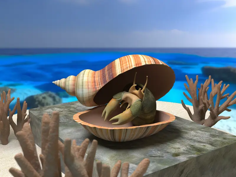 Operculum the Surprising Truth About Shell Protection