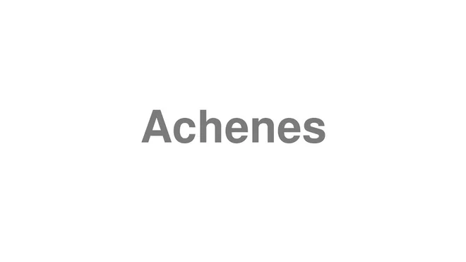 How to Pronounce Achenes
