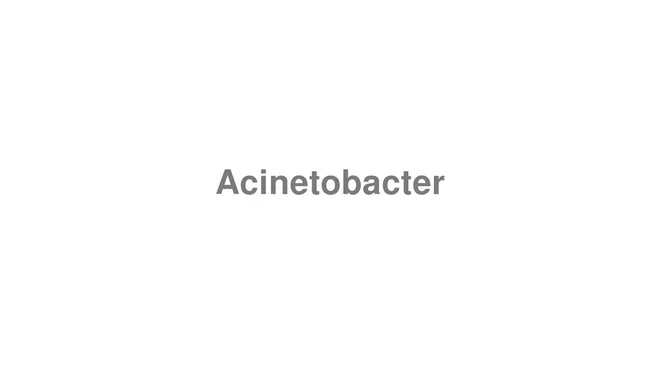 How to Pronounce Acinetobacter
