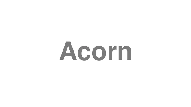 How to Pronounce Acorn