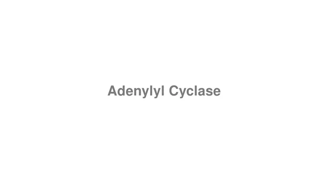 How to Pronounce Adenylyl Cyclase