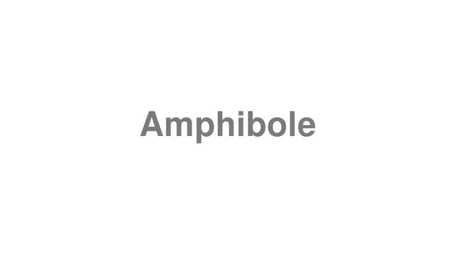 How to Pronounce Amphibole