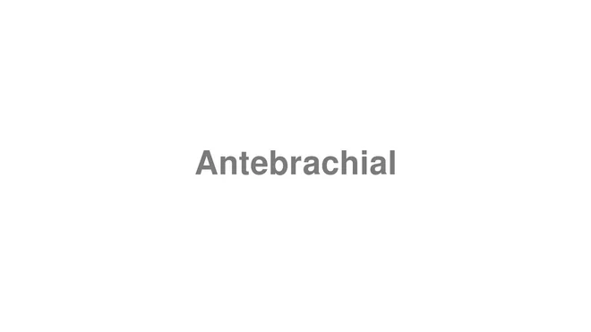 How to Pronounce Antebrachial