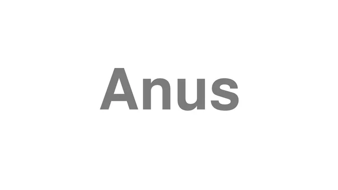 How to Pronounce Anus