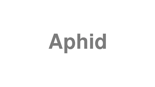 How to Pronounce Aphid