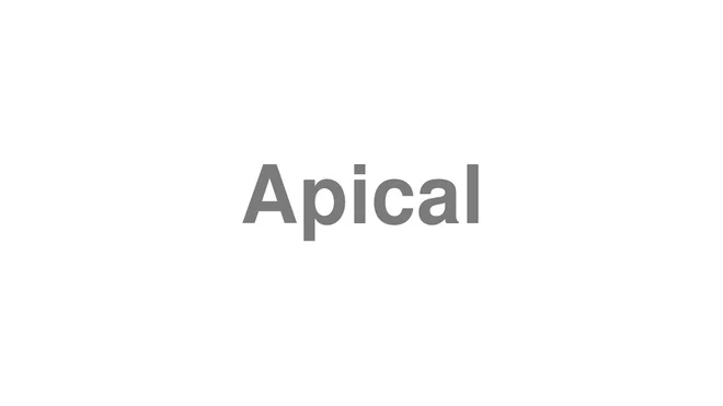 How to Pronounce Apical