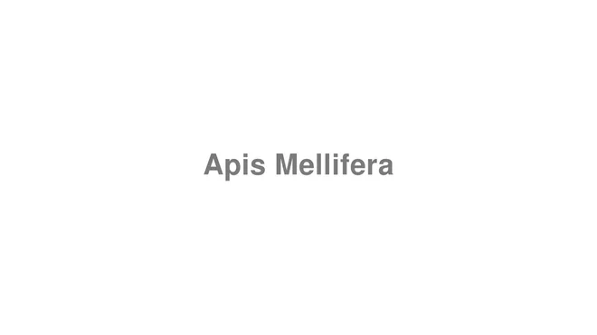 How to Pronounce Apis Mellifera