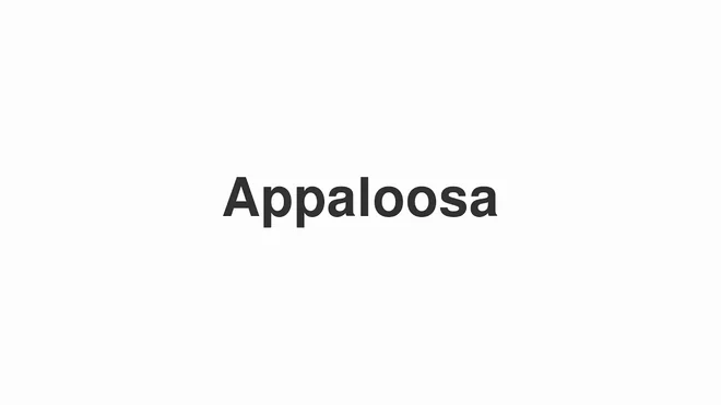 How to Pronounce Appaloosa