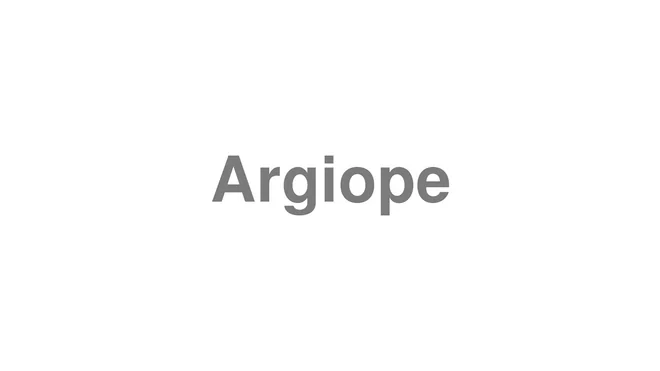 How to Pronounce Argiope