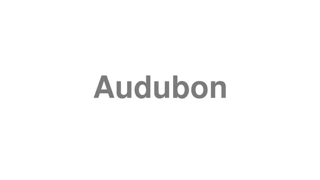 How to Pronounce Audubon