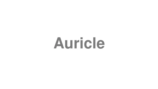 How to Pronounce Auricle