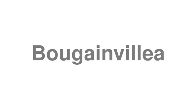 How to Pronounce Bougainvillea