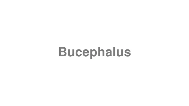How to Pronounce Bucephalus