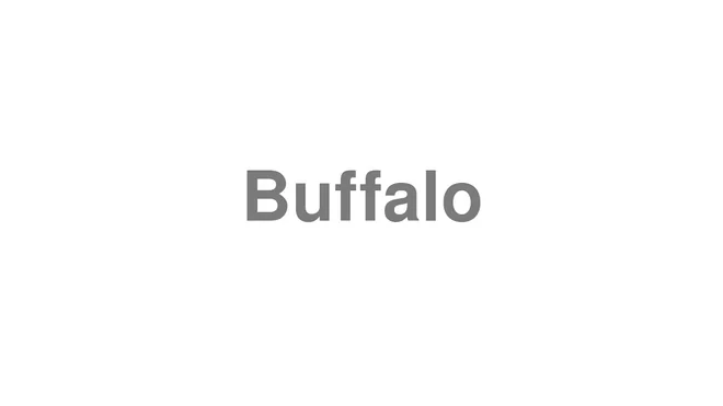 How to Pronounce Buffalo