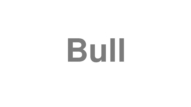 How to Pronounce Bull