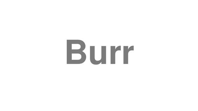 How to Pronounce Burr