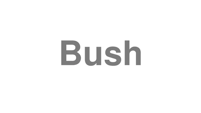 How to Pronounce Bush