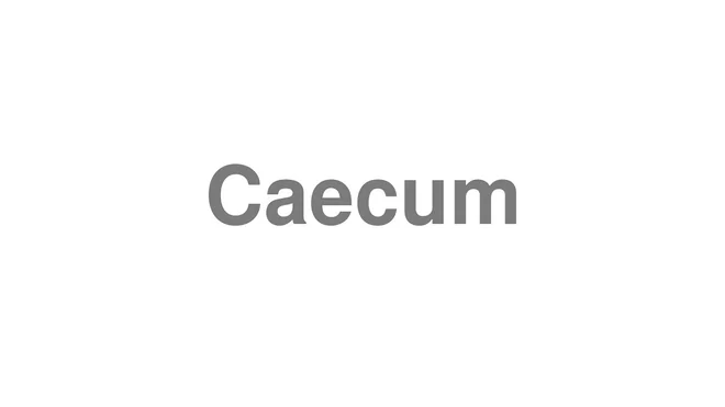 How to Pronounce Caecum