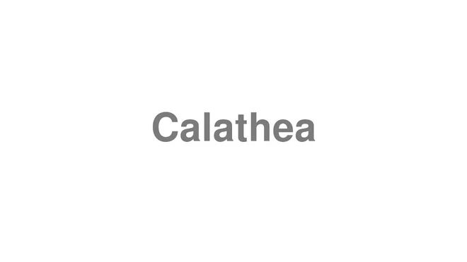 How to Pronounce Calathea