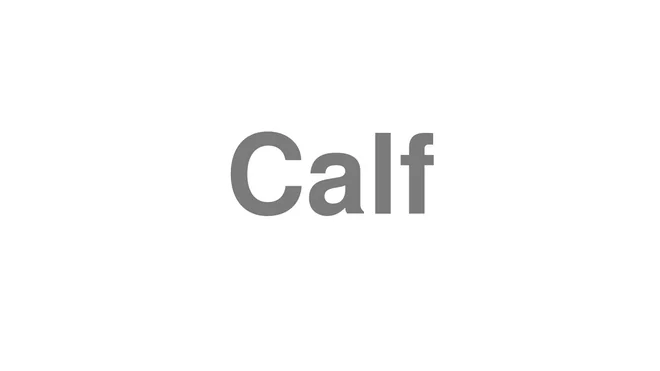 How to Pronounce Calf