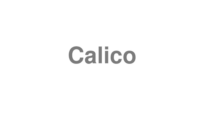 How to Pronounce Calico