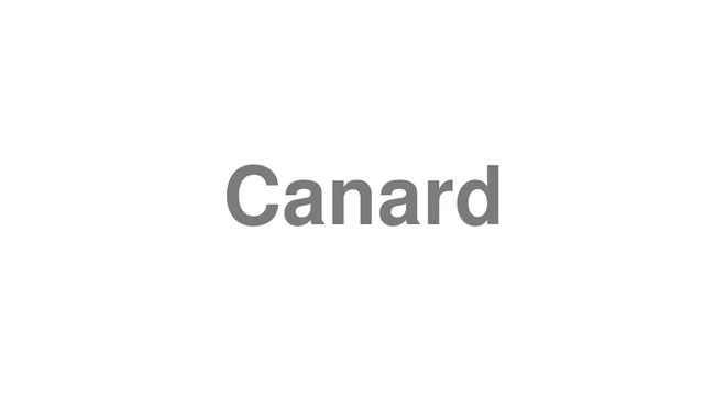How to Pronounce Canard