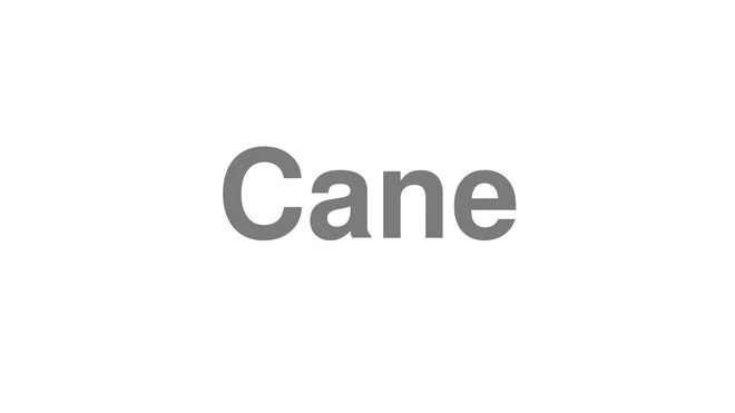 How to Pronounce Cane