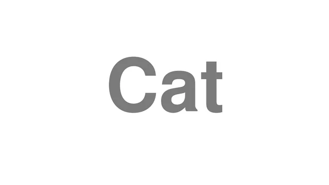 How to Pronounce Cat
