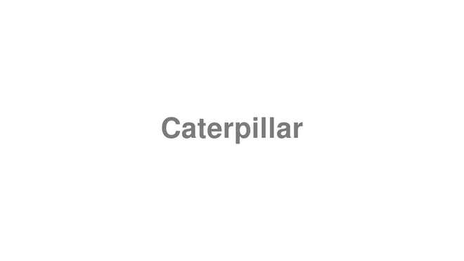 How to Pronounce Caterpillar