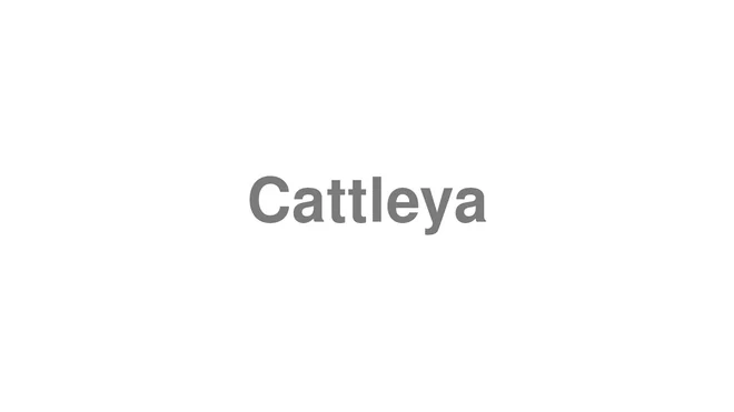 How to Pronounce Cattleya