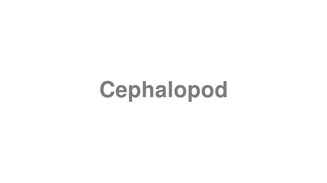 How to Pronounce Cephalopod