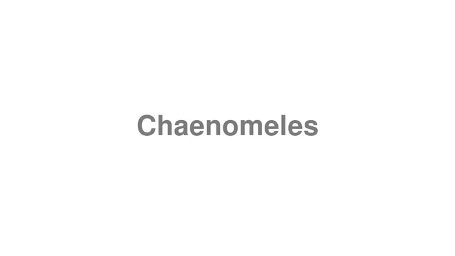 How to Pronounce Chaenomeles