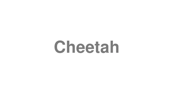 How to Pronounce Cheetah