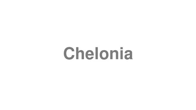 How to Pronounce Chelonia