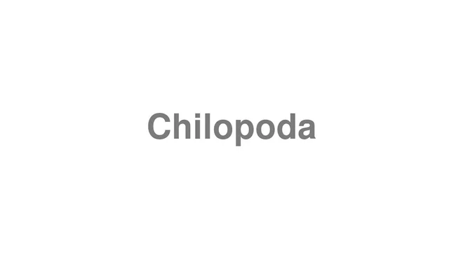 How to Pronounce Chilopoda