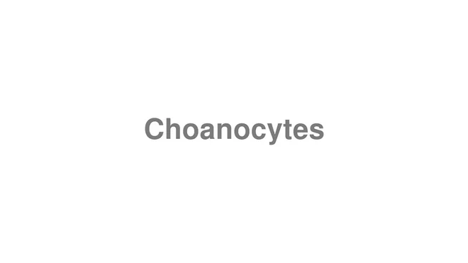 How to Pronounce Choanocytes