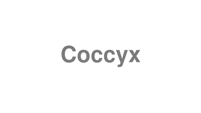 How to Pronounce Coccyx