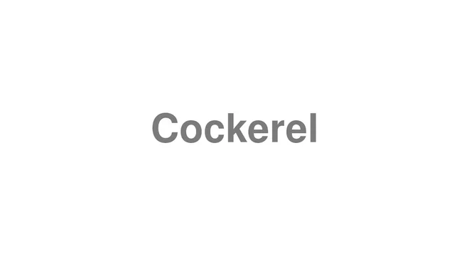 How to Pronounce Cockerel