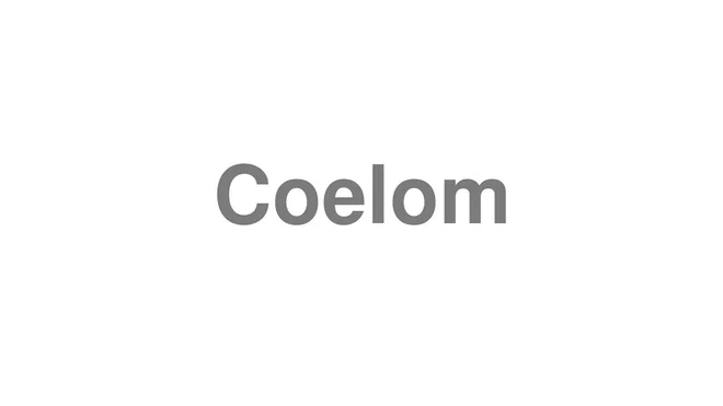 How to Pronounce Coelom