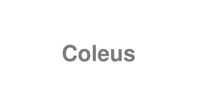 How to Pronounce Coleus