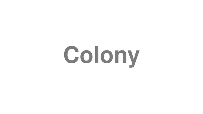 How to Pronounce Colony