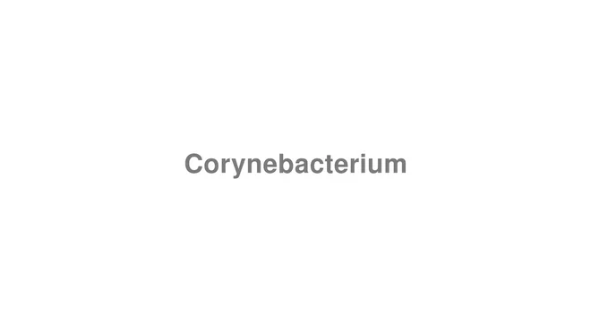 How to Pronounce Corynebacterium