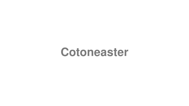 How to Pronounce Cotoneaster
