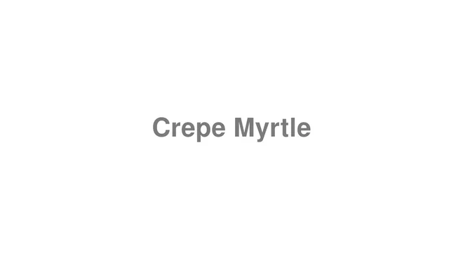 How to Pronounce Crepe Myrtle