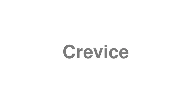 How to Pronounce Crevice