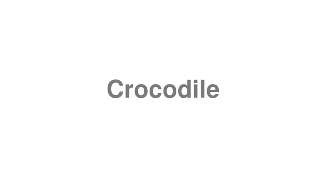 How to Pronounce Crocodile