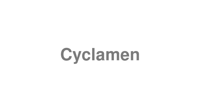 How to Pronounce Cyclamen