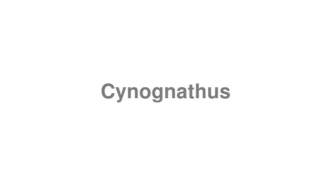 How to Pronounce Cynognathus