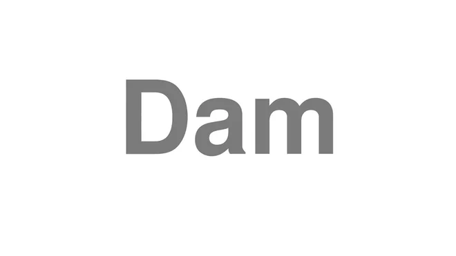 How to Pronounce Dam